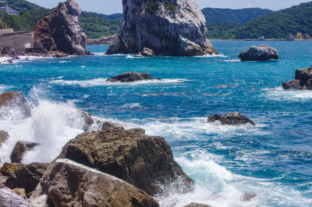 先のことは本当にわからないのか? ブログ更新