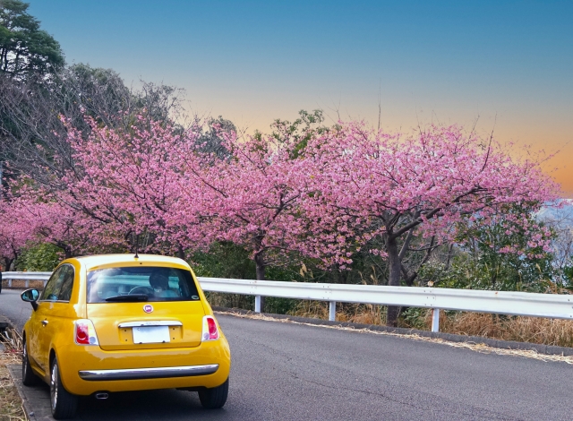 人間関係も Do Safety     ブログ更新