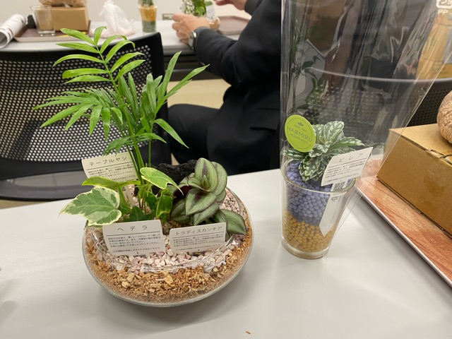 癒しをあたえる存在になりたい　ブログ更新